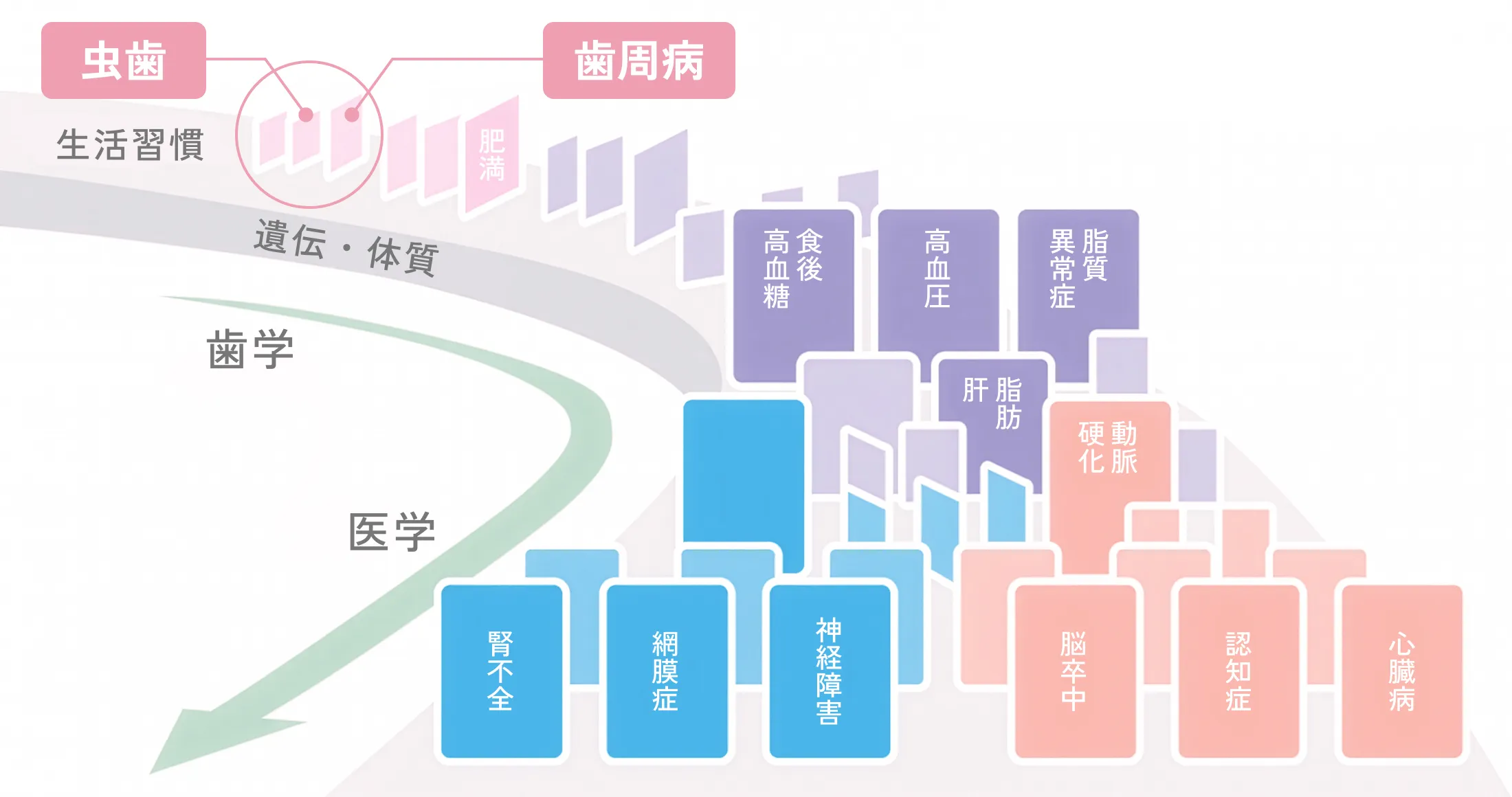 メタボリックドミノ図